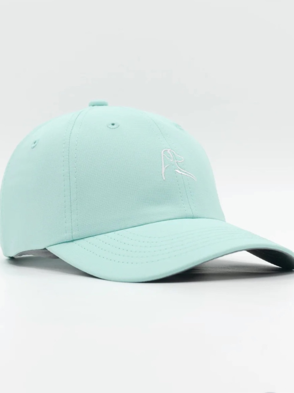 Aqua Rhoback Hat